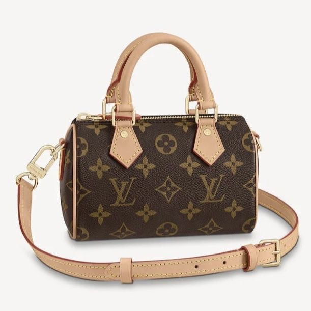 Sac Louis Vuitton